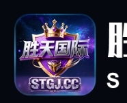 胜天国际